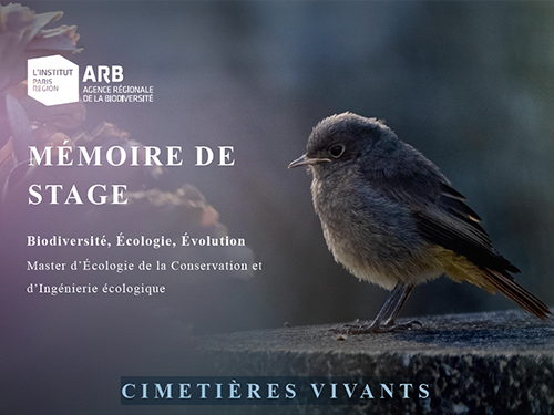 Cimetières vivants, étude de la biodiversité des cimetières franciliens (2021)