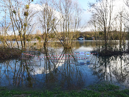 Biodiversité et changement climatique : quelles interdépendances ?