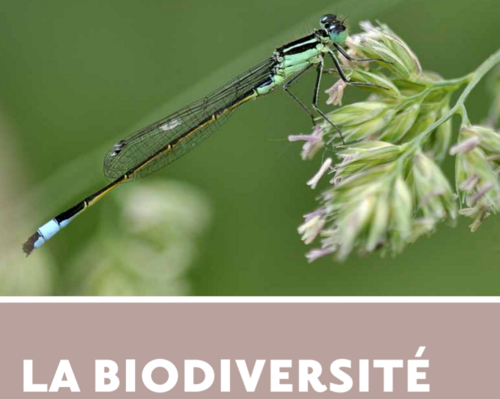 Chiffres clés de la biodiversité en Île-de-France (2013)