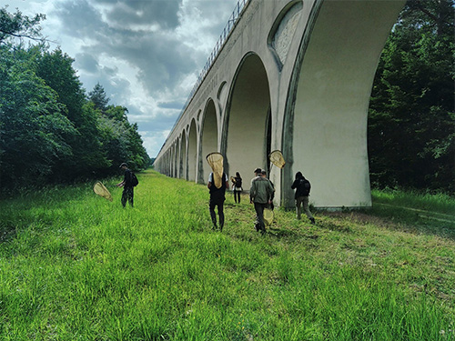 École régionale d'entomologie 2026