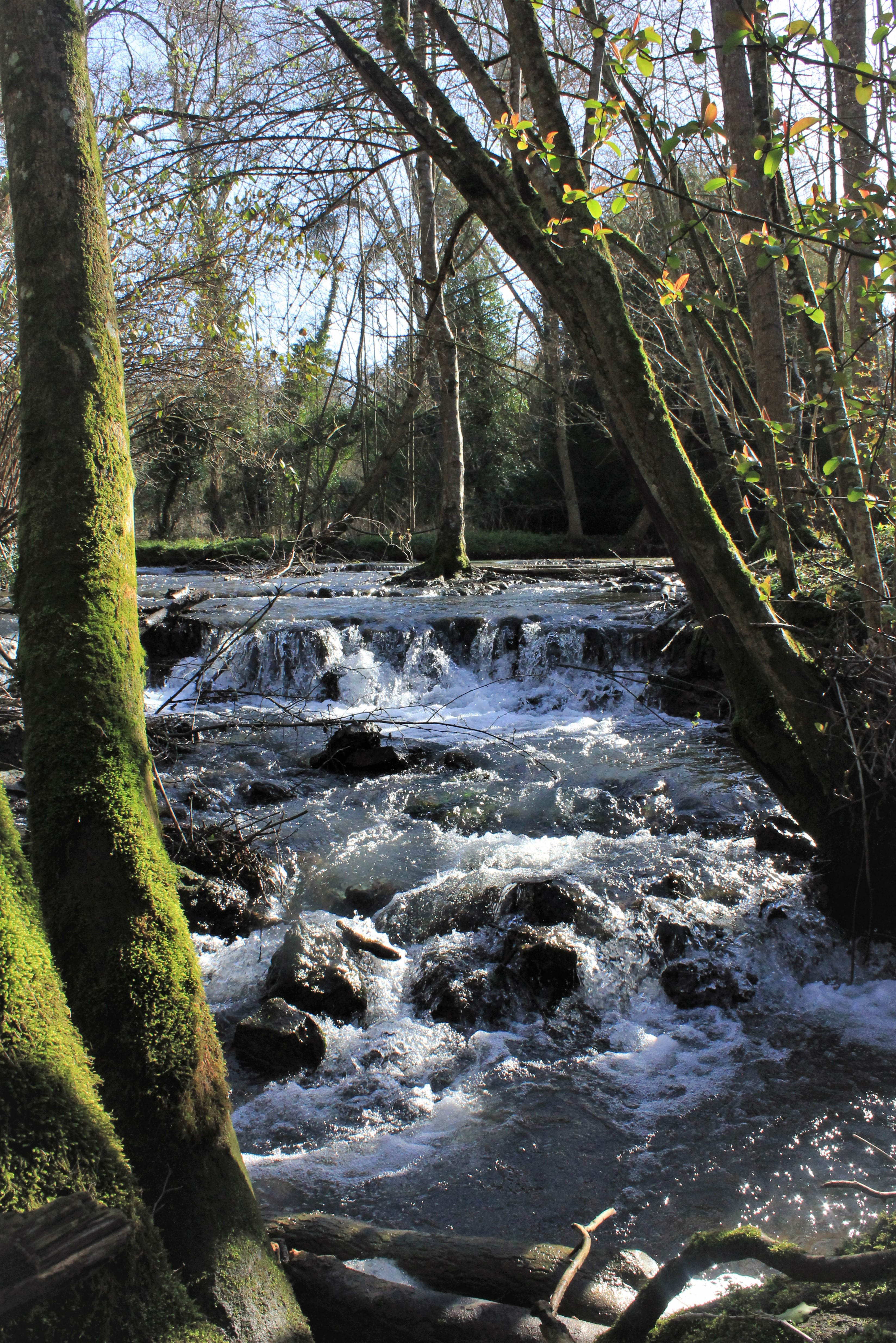 © Lucile Dewulf, ARB îdF
