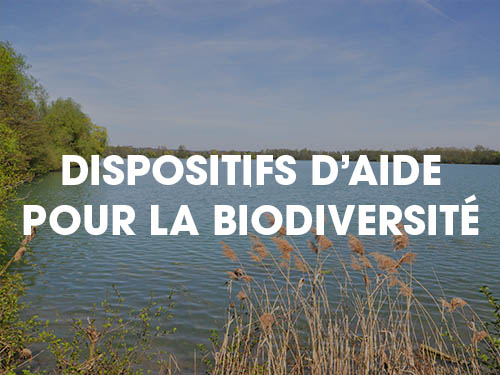 Dispositifs d'aides pour la biodiversité