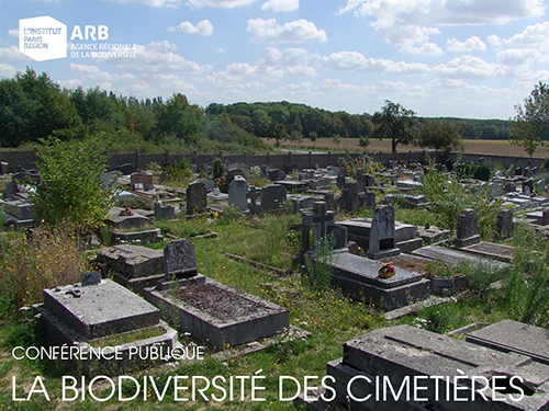 La biodiversité des cimetières : premiers résultats de l’étude “Cimetières vivants ”