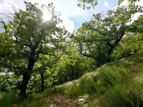 Colloque Paysage et biodiversité