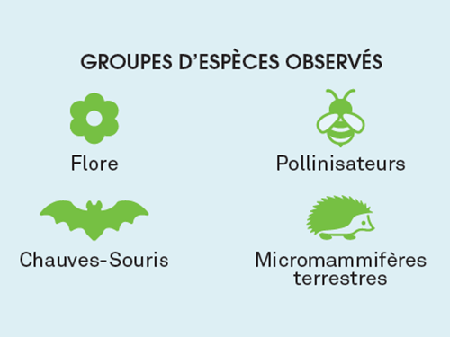 Étude « Cimetières vivants » : Résultats de l’analyse des données 2020 et 2022