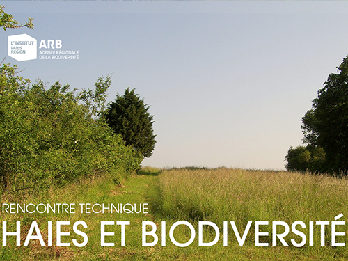 Rencontre technique "Haies et biodiversité"