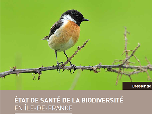 État de santé de la biodiversité en Île-de-France (2016)