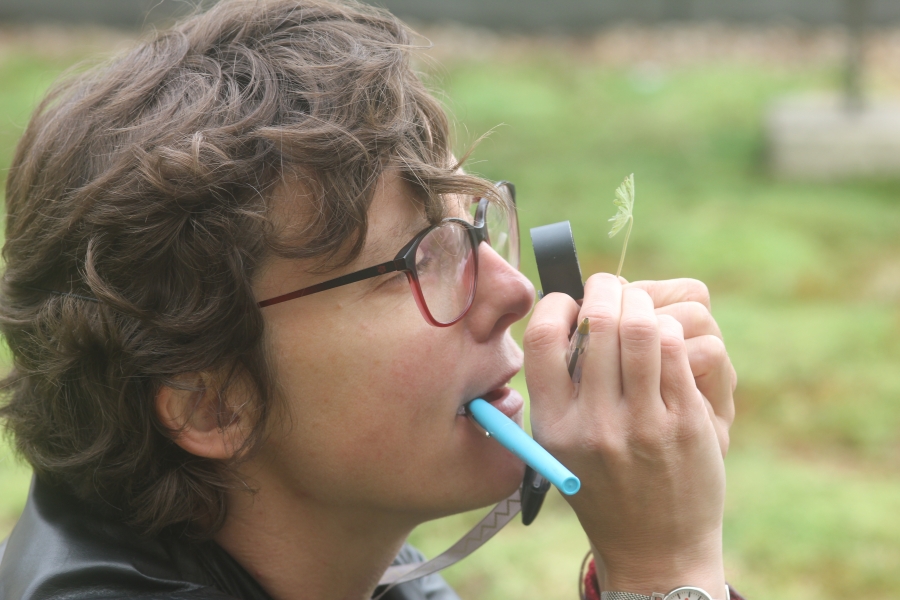 La loupe, outil indispensable des vigie floristes. © Lucile Dewulf