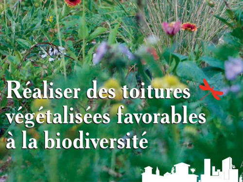 Réaliser des toitures végétalisées favorables à la biodiversité (2011)