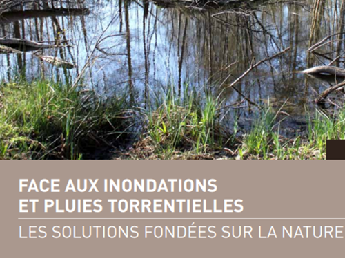 Face aux inondations, les solutions fondées sur la nature (2016)