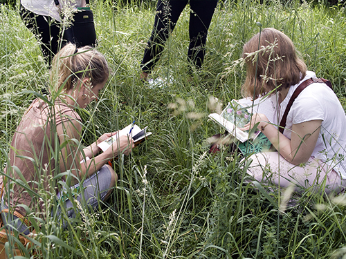 Les sciences participatives