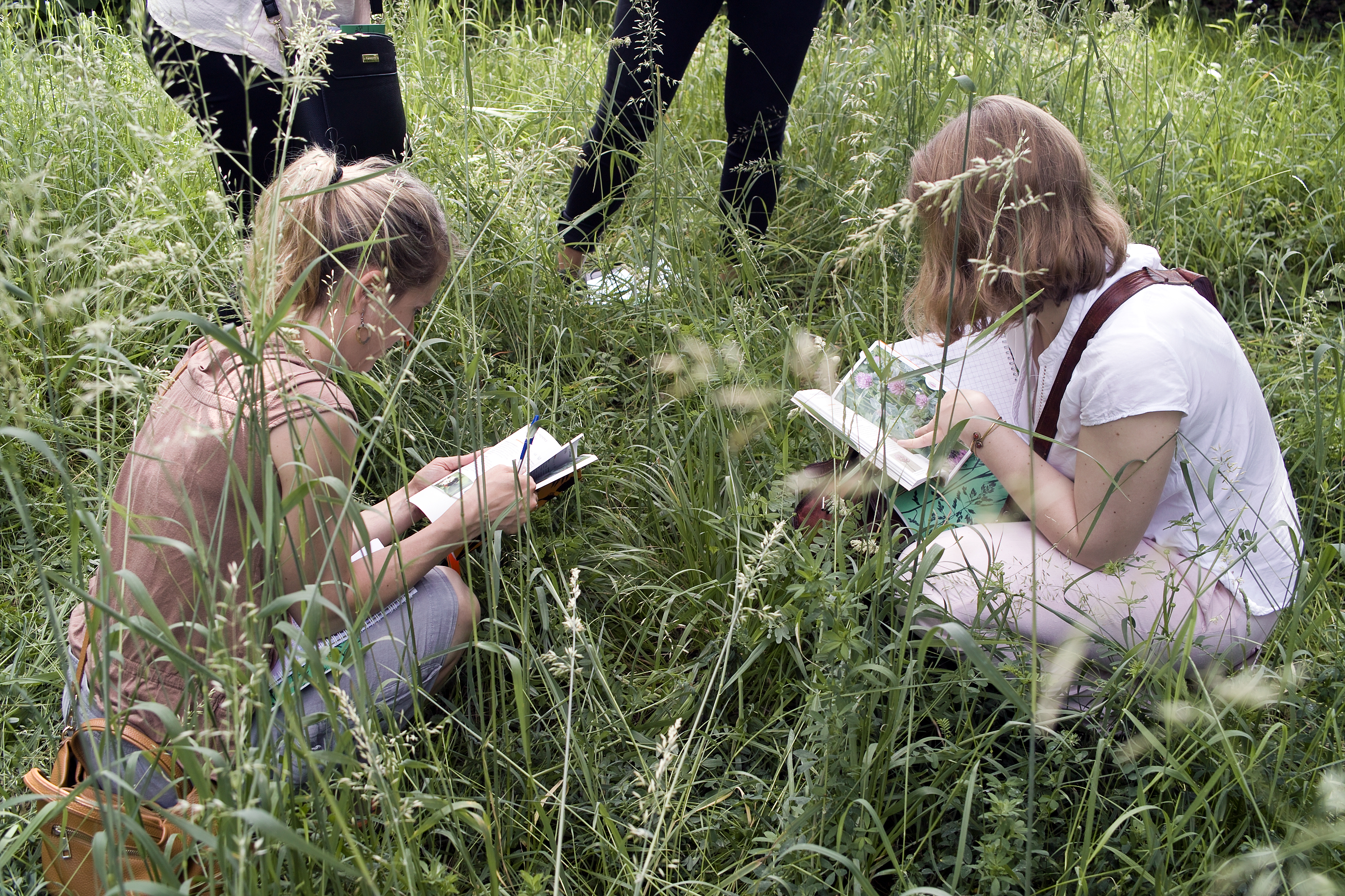 Participantes au Programme Florilèges-prairies urbaines – (c) Audrey Muratet