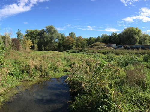 Atelier technique "eau et biodiversité" du SIARJA - Retour sur la journée du 09 septembre 2020