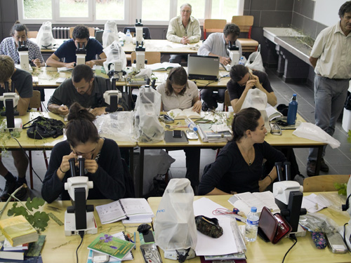 Les Écoles régionales et ateliers thématiques de l'ARB