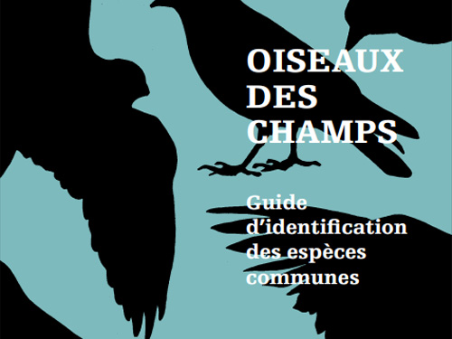 Oiseaux des champs : Guide d’identification des espèces communes (2012)