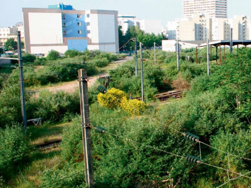 Rencontre "Friches urbaines et biodiversité" (2011)