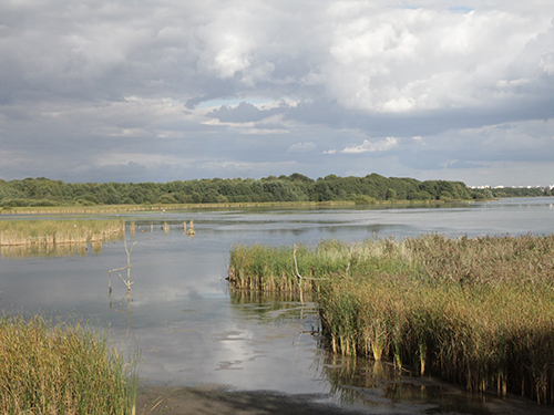 Les réserves naturelles en Île-de-France