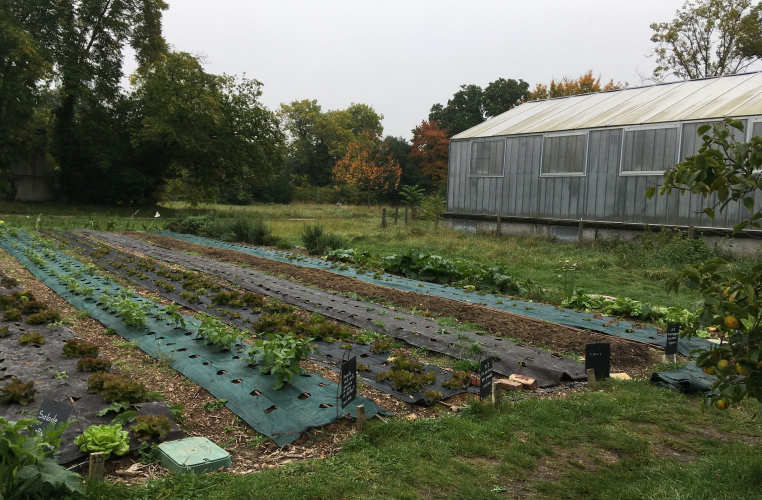 Vil Fertile (Bois de Vincennes)