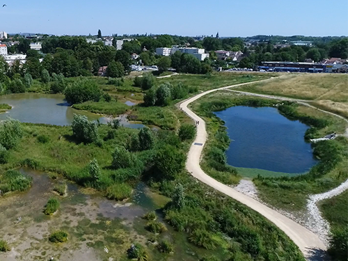 Zone d’expansion des crues et biodiversité urbaine