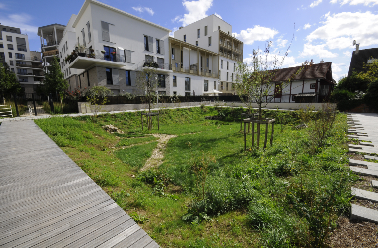 Fossé végétalisé – ÉcoQuartier Hoche, Nanterre ©Gilles Lecuir/ARB ÎdF