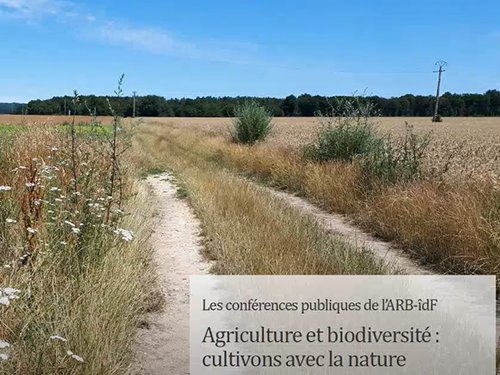Conférence publique “Agriculture et biodiversité : cultivons avec la nature”