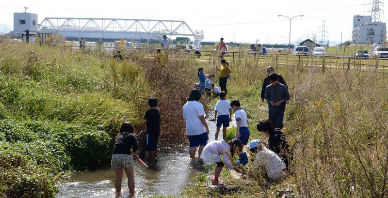 Revitalisation des zones humides : l’Onga Fishway Park au Japon montre le possible impact social de ce type de projet.