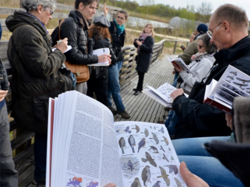 École régionale d'ornithologie 2021 : Session « débutant(e)s »