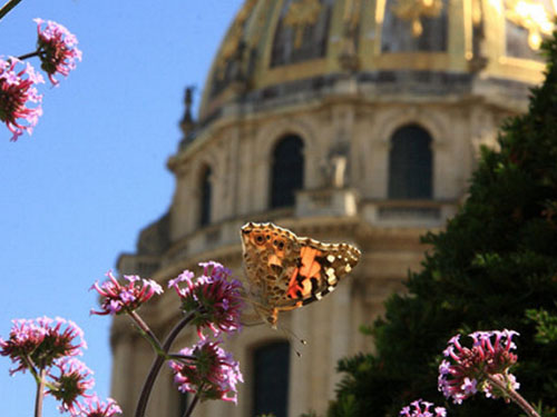 Architecture et Biodiversité : Patrimoines d'Île-de-France