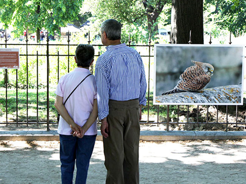 Expositions et autres outils pédagogiques en prêt