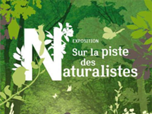 Sur la piste des naturalistes