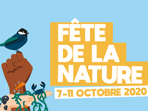 Fête de la Nature 2020 : prenons-en de la graine !