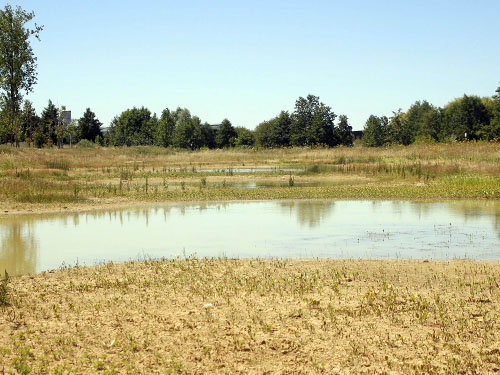 Deux nouveaux arrêtés de protection de biotope pour l’Île-de-France