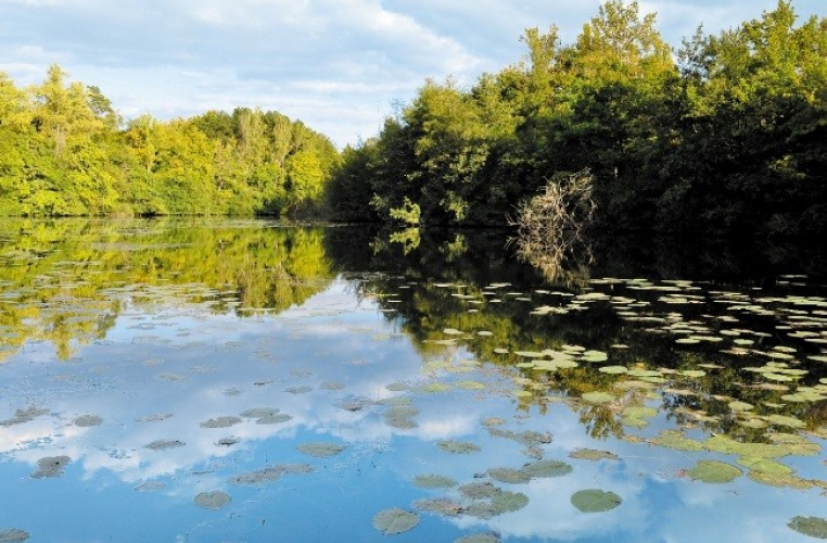 Réserve naturelle nationale de la Bassée ©AGRENABA