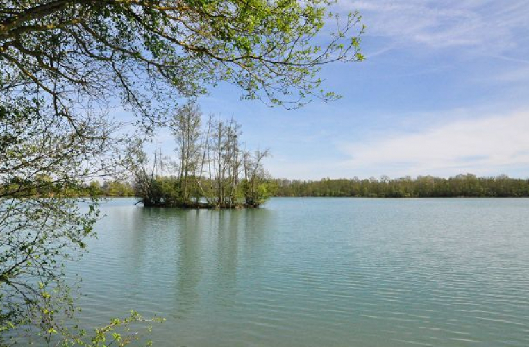Vue du plan d'eau de la réserve naturelle régionale des Seiglats ©ARB îdF