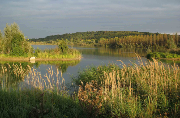 Réserve naturelle nationale du Grand-Voyeux ©ARB îdF