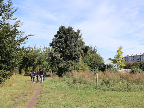 Rencontre écologie et paysage urbain : préserver et favoriser la biodiversité dans les pratiques paysagères