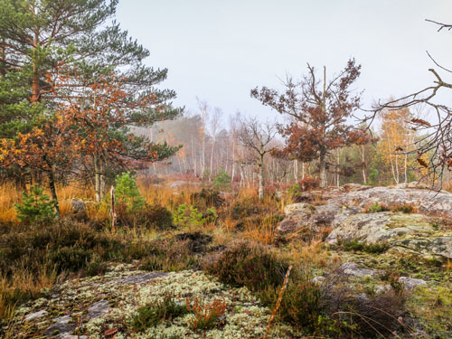 Rencontres naturalistes d'Île-de-France 2026