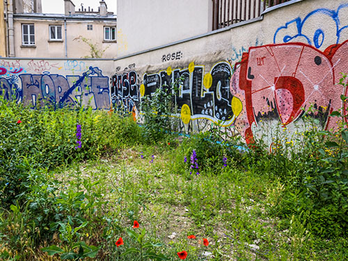 Projet SUNLOOP : repenser la place de la nature urbaine spontanée