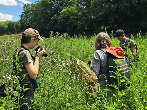 Prendre en compte la biodiversité dans l’aménagement opérationnel