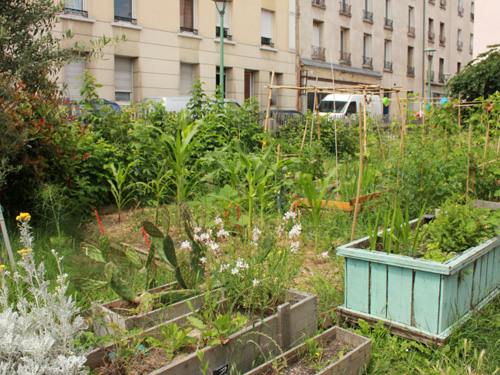 Biodiversité et Services Ecosystémiques en Agriculture Urbaine (BiSEAU)