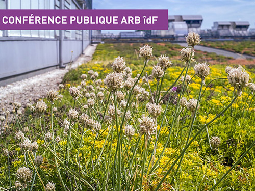 Conférence publique "La toiture végétalisée, véritable écosystème urbain ?" (2018)