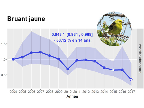 Dans les milieux agricoles et en ville, le déclin des oiseaux s'amplifie