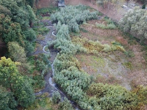 La Région Île-de-France poursuit l’appel à projets « Pour la reconquête de la biodiversité en Ile-de-France »