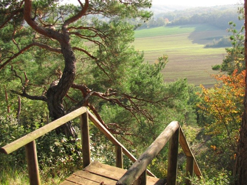 La réserve naturelle nationale des sites géologiques de l'Essonne