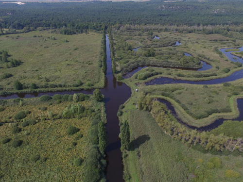 La réserve naturelle régionale du Marais de Larchant