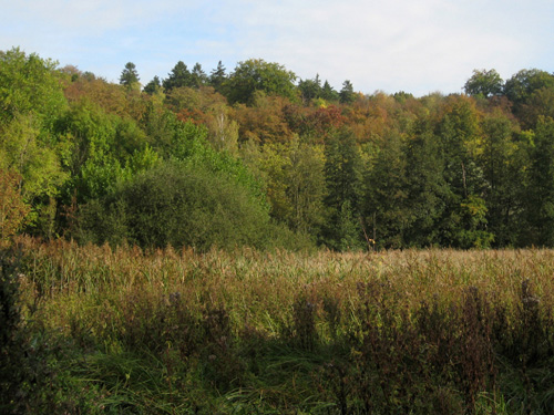 La réserve naturelle régionale du marais de Stors