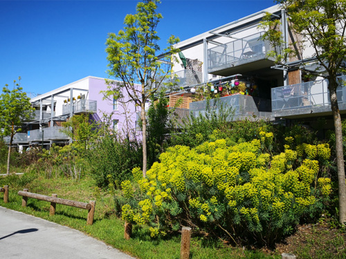 Retour sur le Webinaire "Biodiversité et cadre bâti"