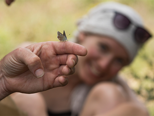 Fête de la Nature 2021 : À travers mille et un regards