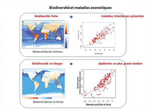 Conférence publique ARB îdF : Santé et Biodiversité