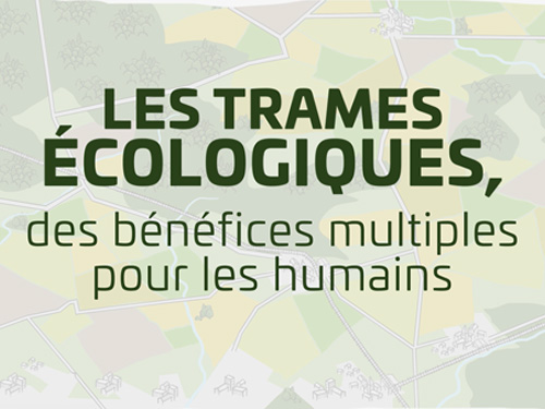 Les Trames écologiques : des bénéfices multiples pour les humains